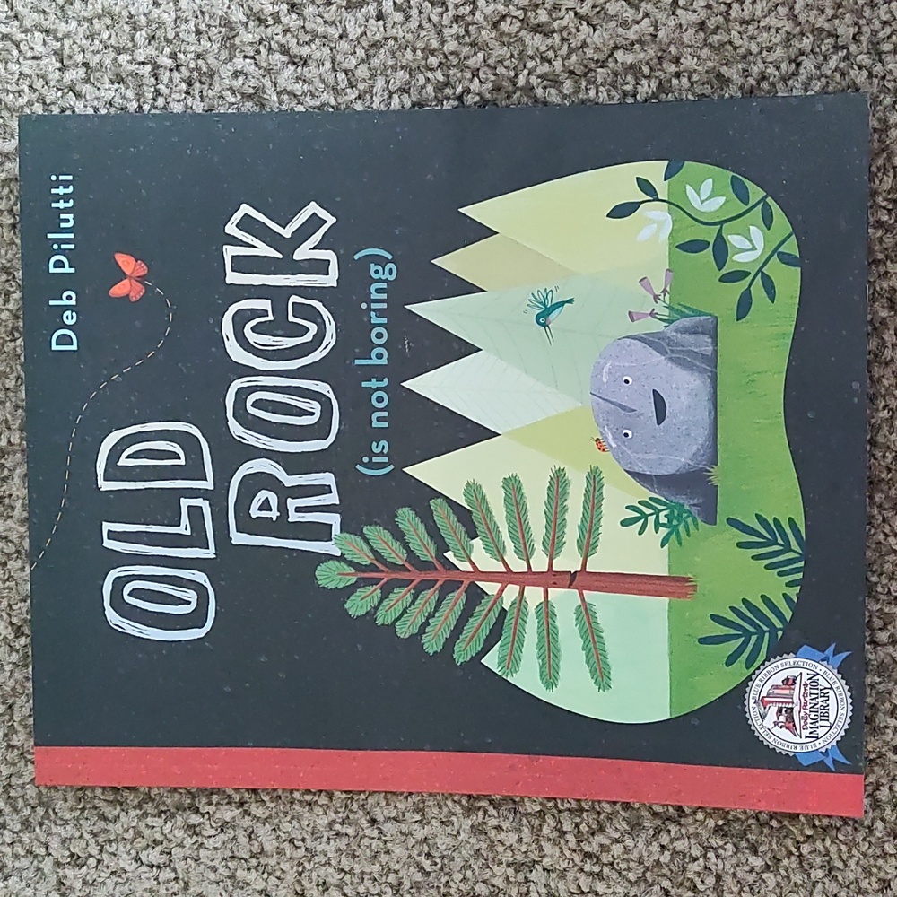 4/$10 Old Rock Is Not Boring Book, Educational Story